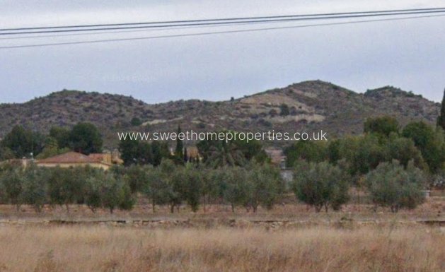 Plot - Resale - Aspe - Aspe