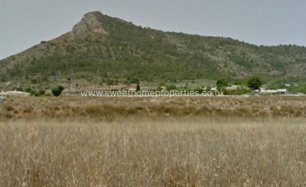 Plot - Resale - Aspe - Aspe