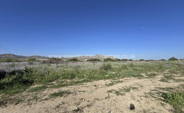 Plot - Resale - Aspe - Aspe