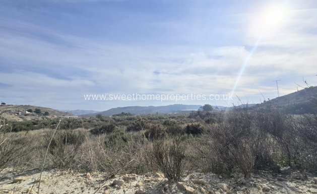 Plot - Resale - Aspe -
                Aspe