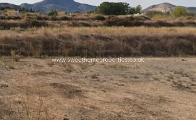 Plot - Resale - Aspe -
                Aspe