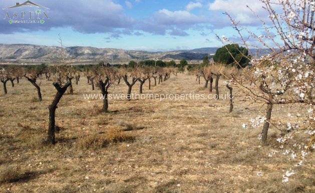 Plot - Resale - Biar - Biar