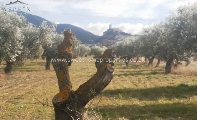 Plot - Resale - Biar - Biar