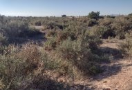 Plot - Resale -
                Elche - AS-18158