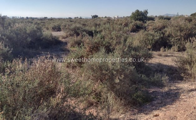 Plot - Resale - Elche -
                Llano de san jose