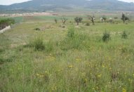 Plot - Resale -
                Hondon De Las Nieves - AS-97821