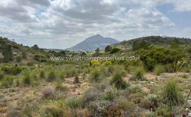 Plot - Resale - Hondon De Las Nieves -
                HONDON DE LAS NIEVES