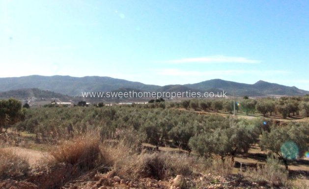 Plot - Resale - Hondon De Las Nieves - La solana