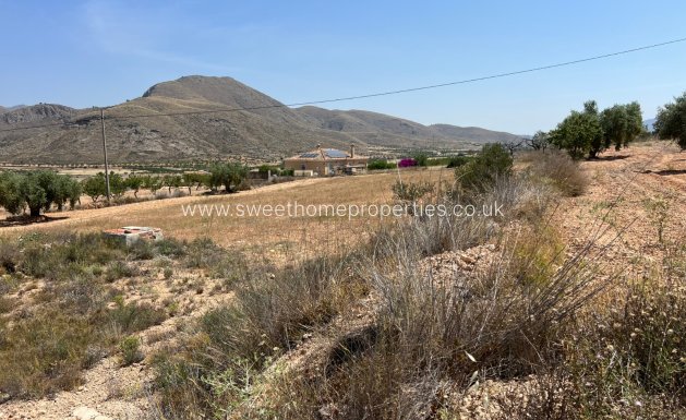 Plot - Resale - Hondon De Los Frailes - Hondon De Los Frailes