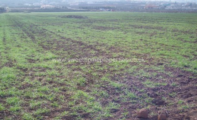 Plot - Resale - Hondon De Los Frailes - Hondon De Los Frailes