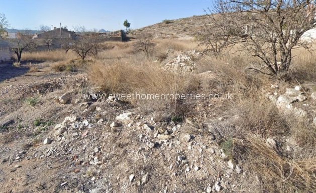 Plot - Resale - Hondon De Los Frailes -
                Hondon De Los Frailes