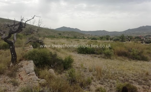 Plot - Resale - Hondon De Los Frailes -
                Hondon De Los Frailes