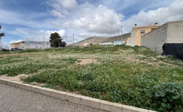 Plot - Resale - Hondon De Los Frailes -
                Hondon De Los Frailes