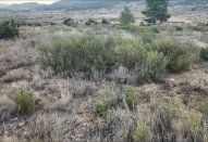 Plot - Resale -
                La Romana - AS-62063