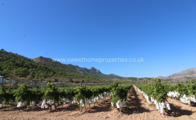 Plot - Resale - La Romana - La Romana