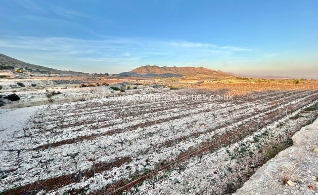 Plot - Resale - La Romana - Los joveres