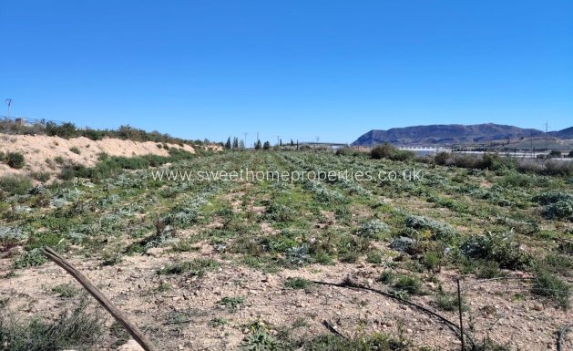 Plot - Resale - Monforte del Cid -
                Comunidad valenciana