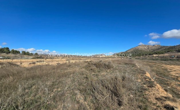 Plot - Resale - Monovar -
                LA ROMANETA