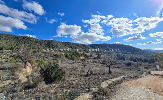 Plot - Resale - Monovar -
                MONOVAR