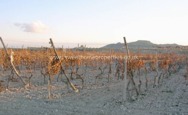 Plot - Resale - Novelda - BETIES