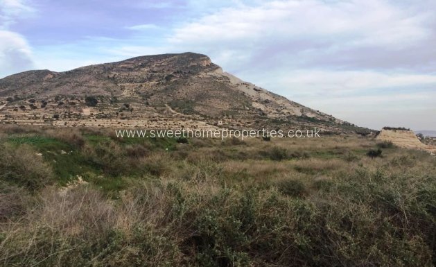 Plot - Resale - Novelda - BETIES