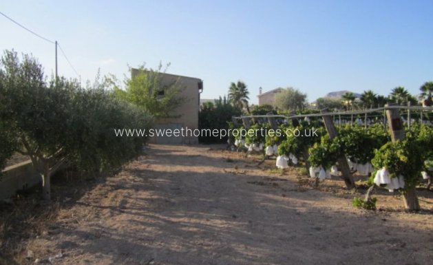 Plot - Resale - Novelda -
                CASAS DE SALA