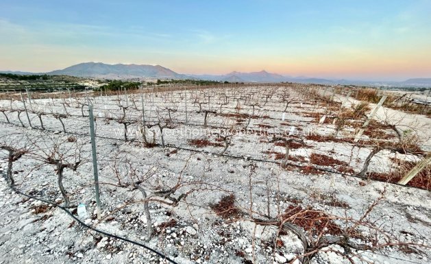 Plot - Resale - Novelda -
                HORNA BAJA