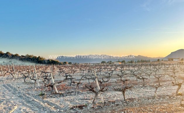 Plot - Resale - Novelda -
                Novelda