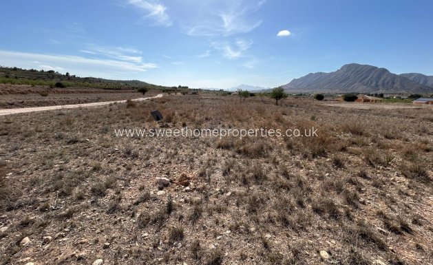 Plot - Resale - Orihuela - Barbarroja
