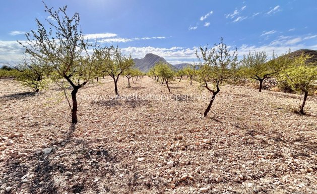 Plot - Resale - Orihuela - Barbarroja