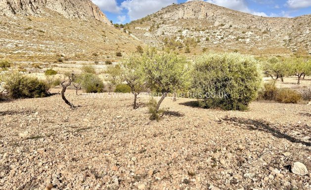 Plot - Resale - Orihuela - Barbarroja