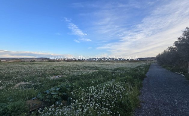 Plot - Reventa - Aspe -
                Aspe