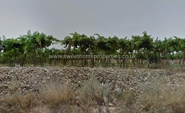 Plot - Reventa - Aspe -
                Aspe