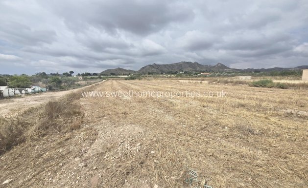 Plot - Reventa - Aspe -
                Horna baja
