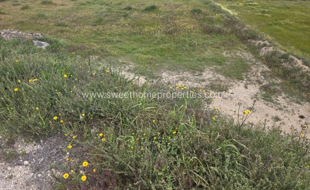 Plot - Reventa - Aspe -
                Pedanías Este