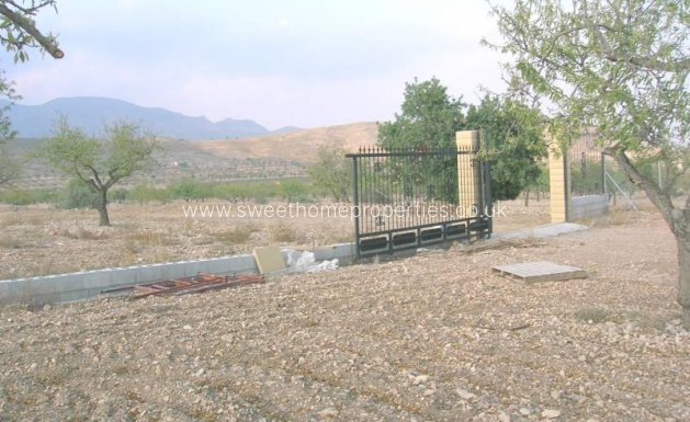 Plot - Reventa - Hondon De Las Nieves - REBALSO