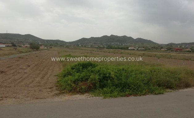 Plot - Reventa - Hondon De Los Frailes -
                Hondon De Los Frailes