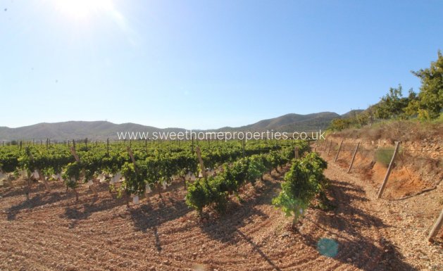 Plot - Reventa - La Romana - PARTIDA DE LA BOQUERA