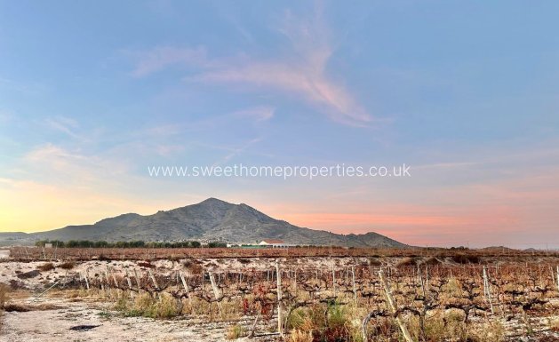 Plot - Reventa - Novelda -
                BETIES