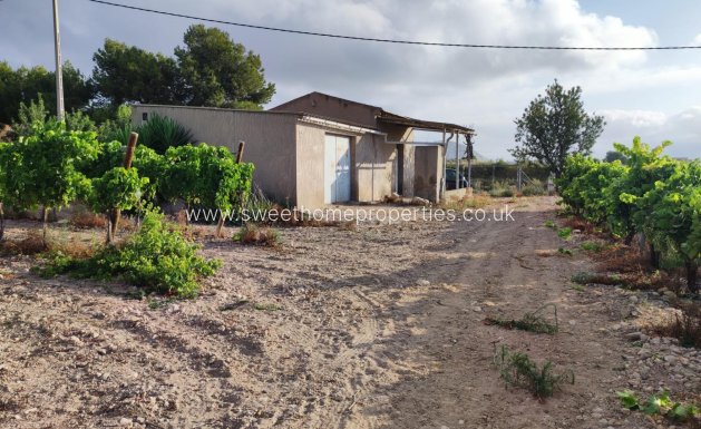 Plot - Reventa - Novelda -
                CENTRO