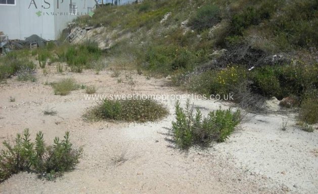 Plot - Reventa - Novelda -
                Novelda