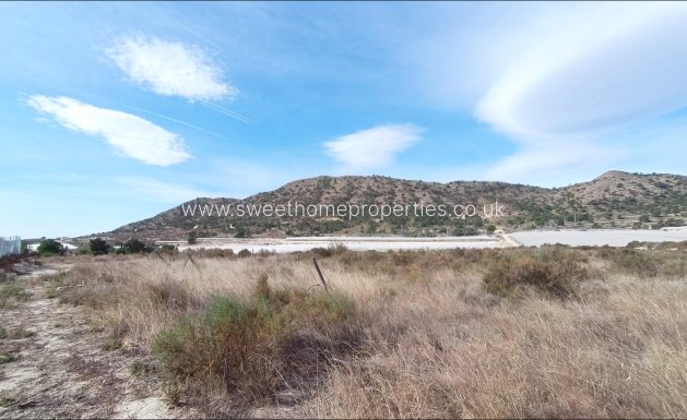 Plot - Reventa - Novelda -
                SERRETA