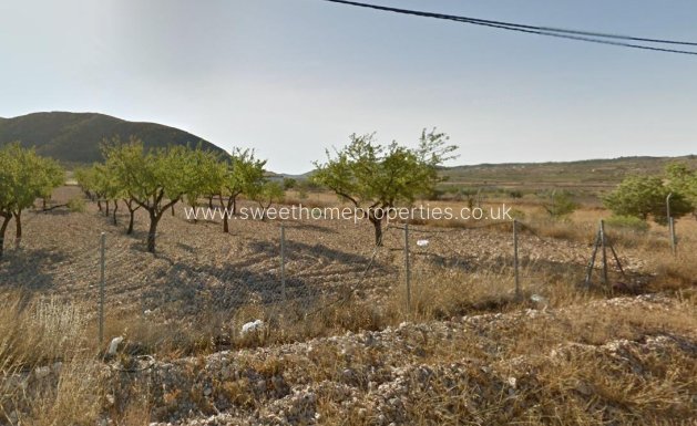 Plot - Reventa - Orihuela - Barbarroja