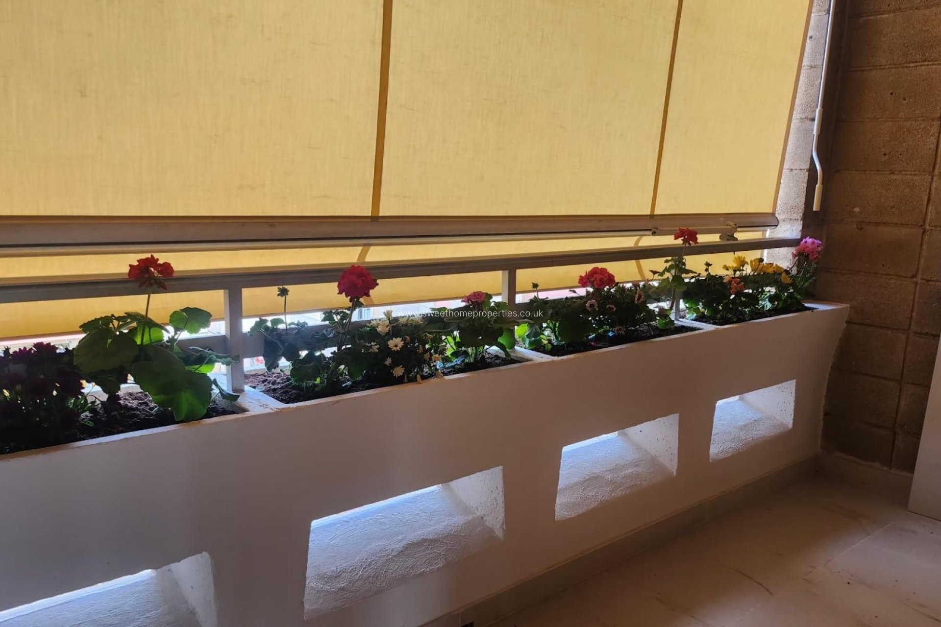 Resale - Apartment - Petrer - Av. de Madrid