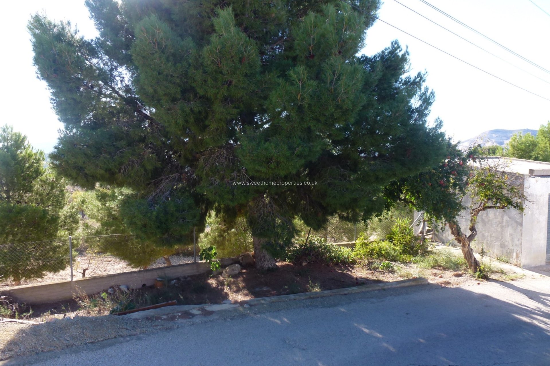 Resale - Cave house - Hondon De Las Nieves - La Canalosa