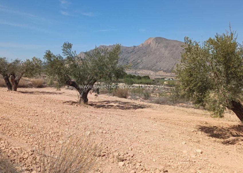 Resale - Cave house - Orihuela - Torremendo