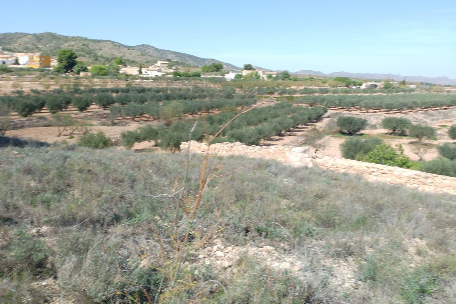 Resale - Cave house - Yecla - Raspay