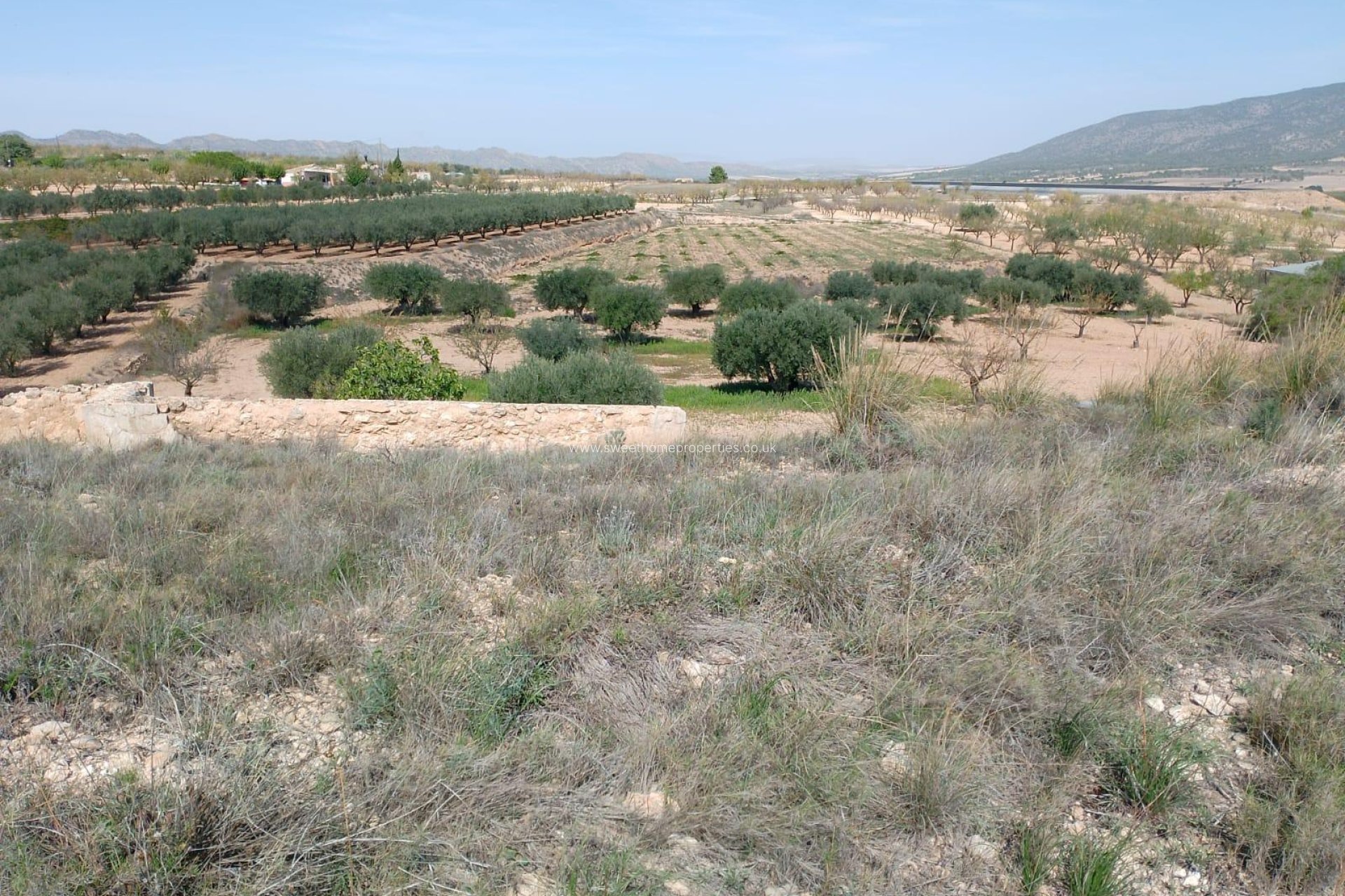 Resale - Cave house - Yecla - Raspay