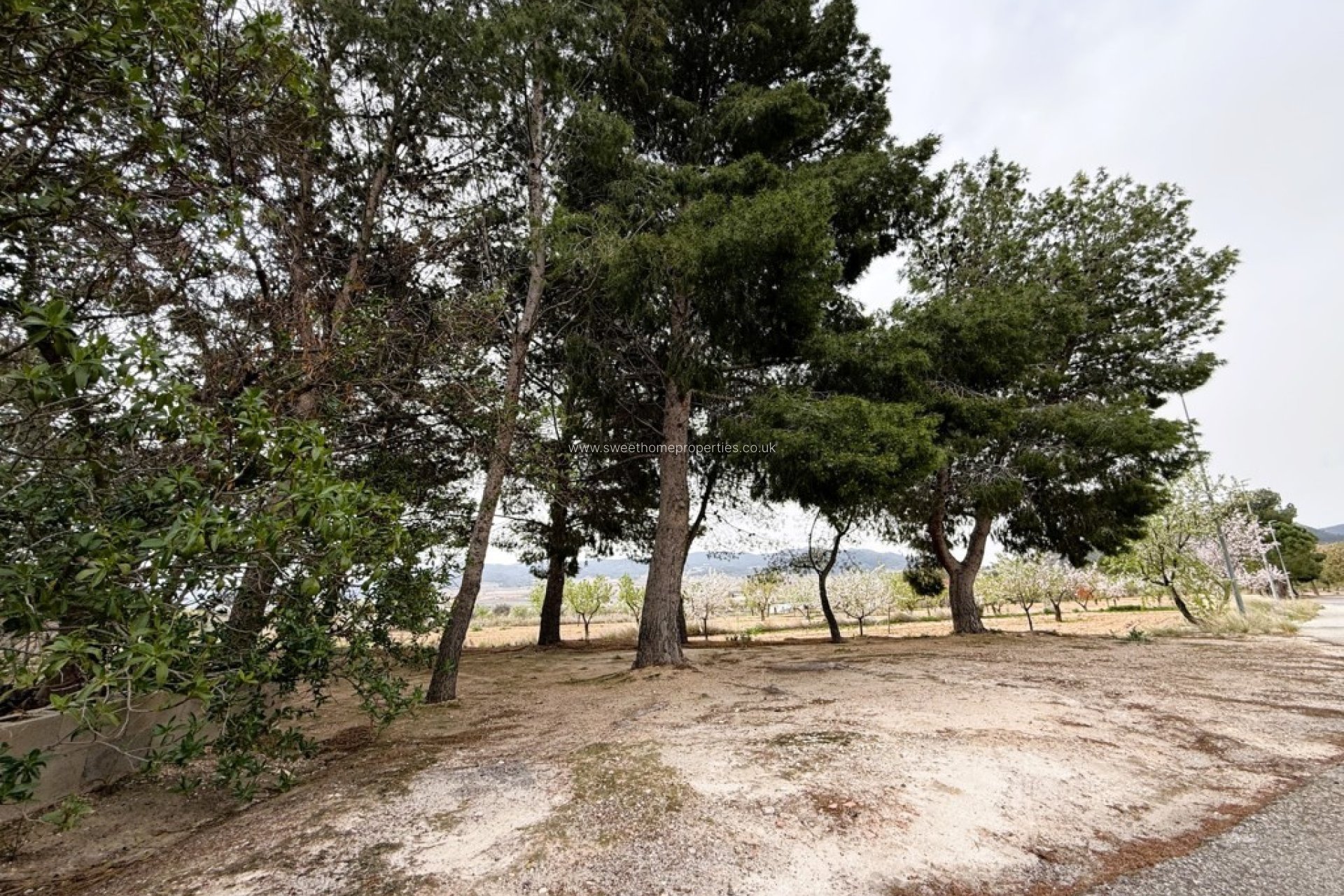 Resale - Country house - Algueña - ALGEÑA