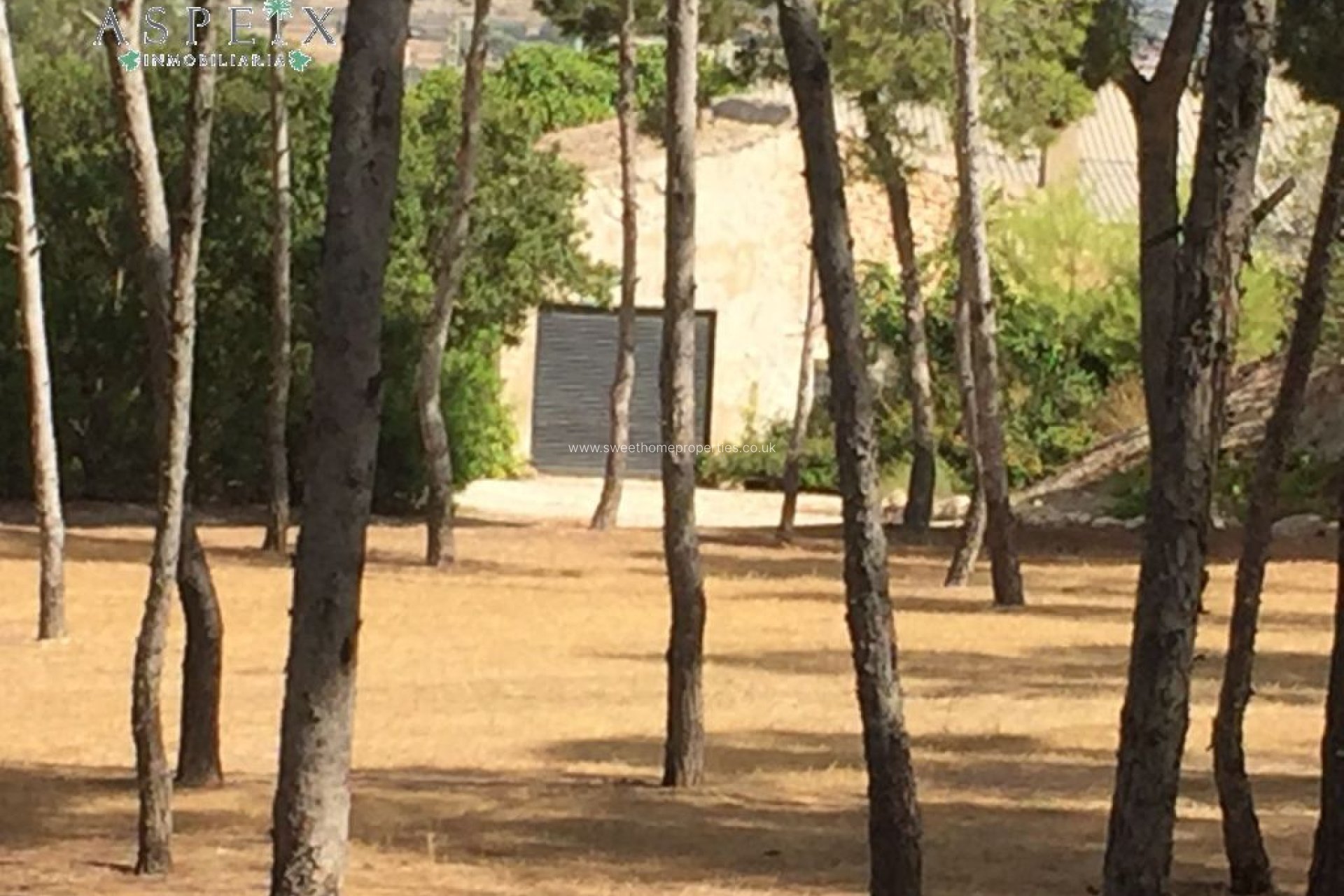 Resale - Country house - Aspe - El rabosero